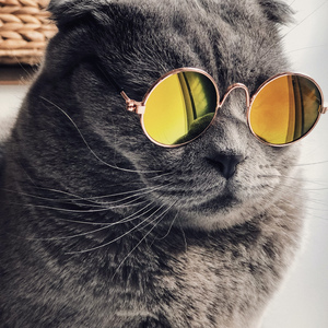 男人摸胸舔下面视频
